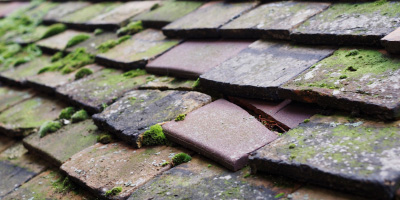Onneley roof repair costs